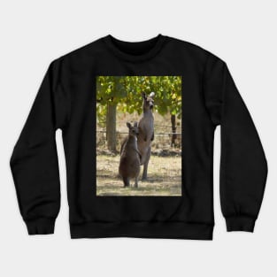 Two Roos at Magpie Springs by Avril Thomas Crewneck Sweatshirt